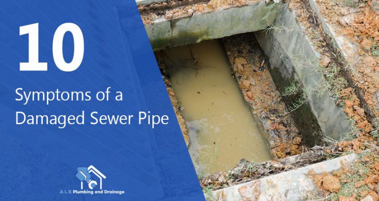 10 Symptoms of a Damaged Sewer Pipe ALK Plumbers