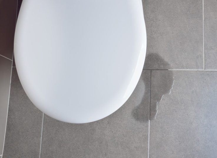 leaking toilet